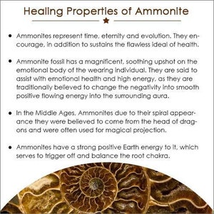 Puede incluir: Imagen con texto: "Propiedades curativas del amonita." La imagen muestra un primer plano de un amonita fosilizado con un patr&oacute;n en espiral. El texto describe las propiedades del amonita, incluida su asociaci&oacute;n con el tiempo, la eternidad y la energ&iacute;a positiva.