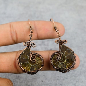 May include: A pair of copper wire wrapped earrings featuring fossilized ammonite shells. The earrings are a dark brown color with a spiral pattern.