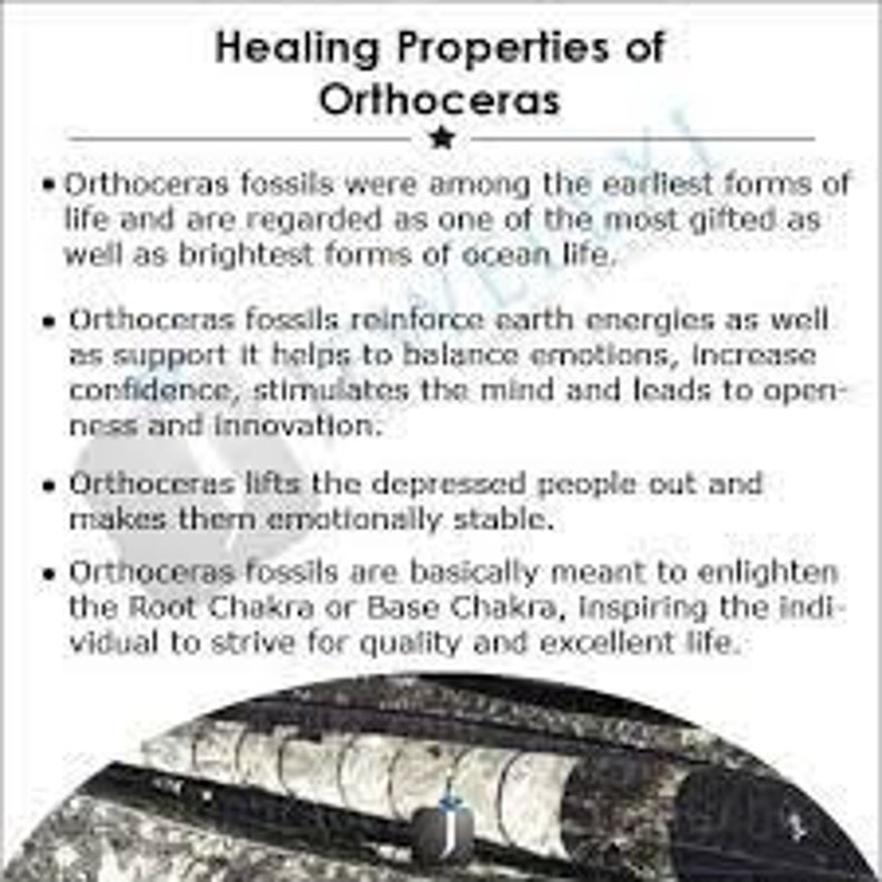 May include: A close-up of a dark gray Orthoceras fossil. The fossil is a long, cylindrical shape with a smooth, polished surface. The text "Healing Properties of Orthoceras" is written in white letters at the top of the image.