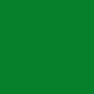 May include: Solid green background.