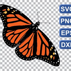 Borboleta SVG, Borboleta Clipart