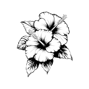 Könnte beinhalten: Schwarz-Weiß-Illustration von zwei Hibiskusblüten mit detaillierten Blütenblättern und Blättern. Die Blüten haben auffällige Staubgefäße und sind vor einem weißen Hintergrund platziert. Das Bild ist ein botanisches Design.