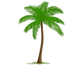 Palm Tree Clipart Bundle – PNG, SVG & PowerPoint Coconut Tree Graphics for Crafts, T-Shirts, Stickers and Summer Designs