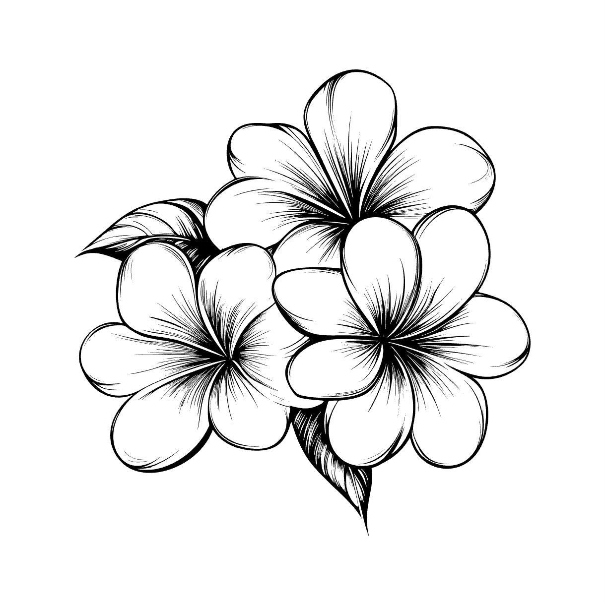 Hawaii Flower Vector - Etsy Israel, image size:1219x1220
