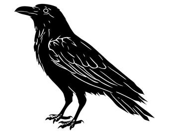 Raven Clipart – PNG, SVG, PowerPoint, Raven Graphic, Raven svg File, Raven png Image, Raven Digital Art, Raven PowerPoint...