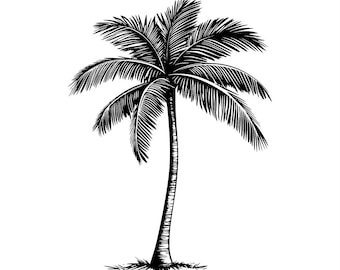 Palm Tree Clipart, Bundle, Coconut Tree – PNG, SVG, and PowerPoint Formats for Crafts & Designs, Palmtree Clip Art