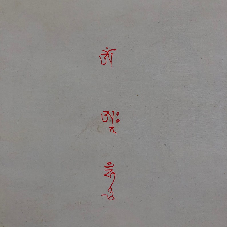 Silk Brocade Mounted Simhamukhi Thangka, Simhamukha Thanka bild 9