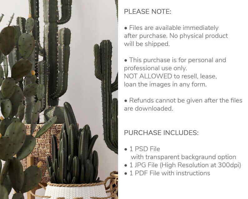 May include: A digital download of a set of cactus illustrations. The image shows a variety of cacti in a white pot with a woven base. The text on the image reads "PLEASE NOTE: Files are available immediately after purchase. No physical product will be shipped. This purchase is for personal and professional use only. NOT ALLOWED to resell, lease, loan the images in any form. Refunds cannot be given after the files are downloaded. PURCHASE INCLUDES: 1 PSD File with transparent background option 1 JPG File (High Resolution at 300dpi) 1 PDF File with instructions"