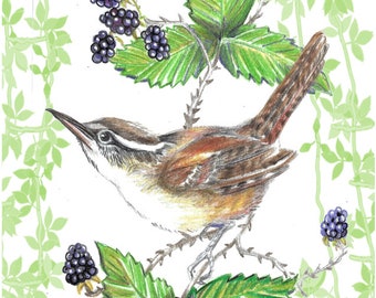 Wren the Messenger
