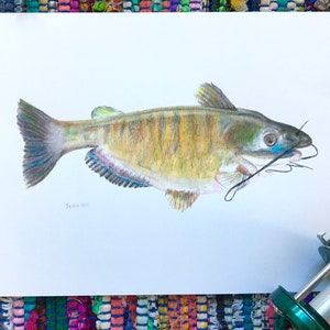 Catfish print from original watercolor, hand-embellished by artist, wall art, room decor, fish art