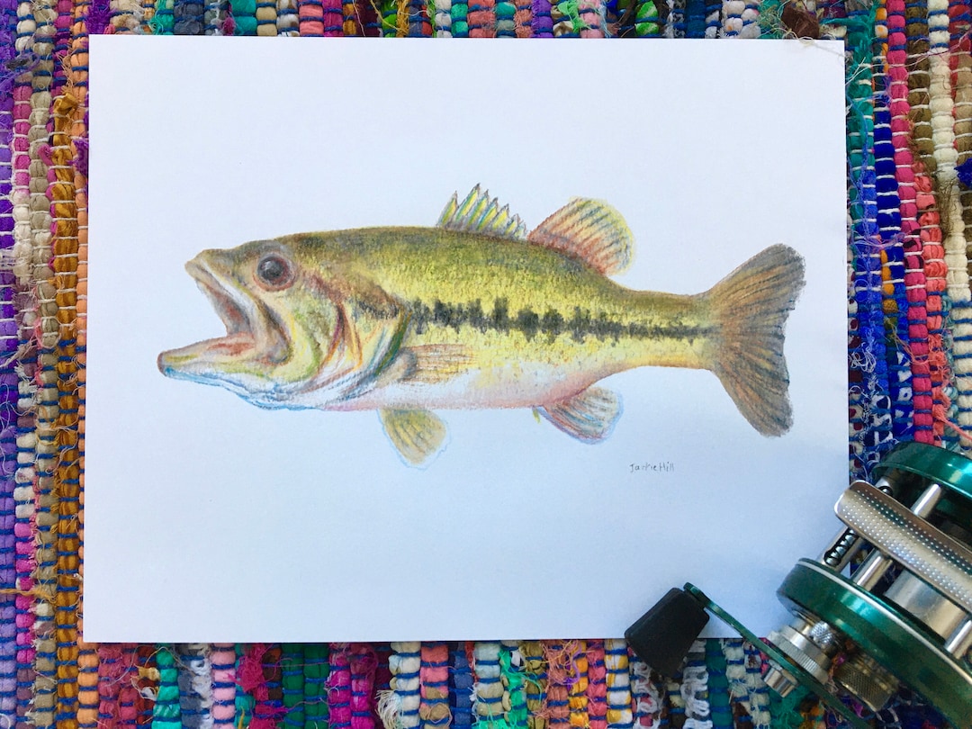 Largemouth Bass Fish Print From Original Watercolor, Hand-embellished ...