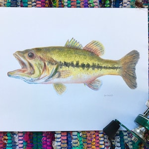 Largemouth bass fish print from original watercolor, hand-embellished by artist, wall art, room decor, fish art