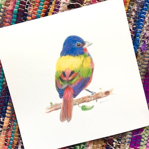 Painted Bunting print: hand-embellished print by artist from my original watercolor, wall art