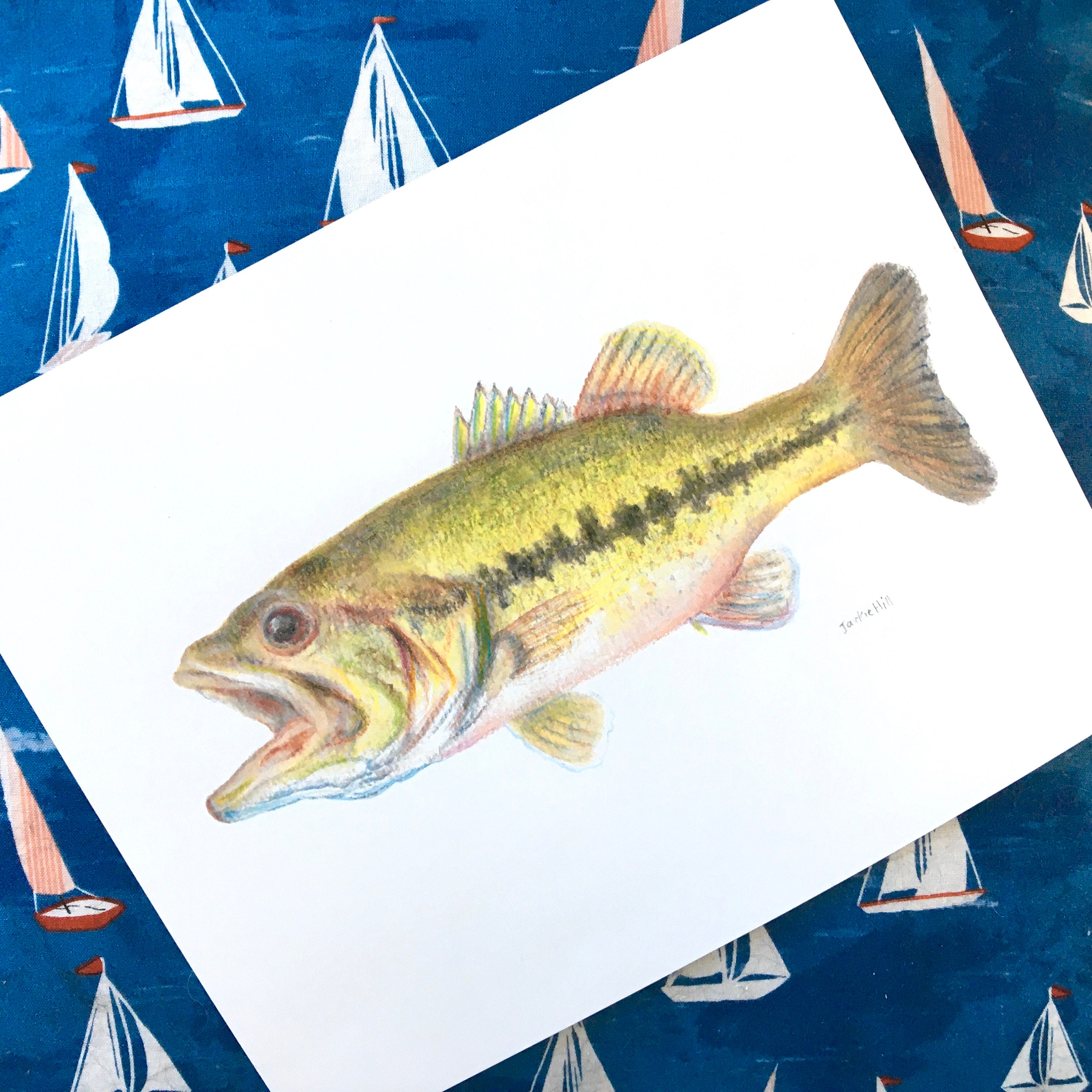 Largemouth Bass Fish Print From Original Watercolor, Hand-embellished ...