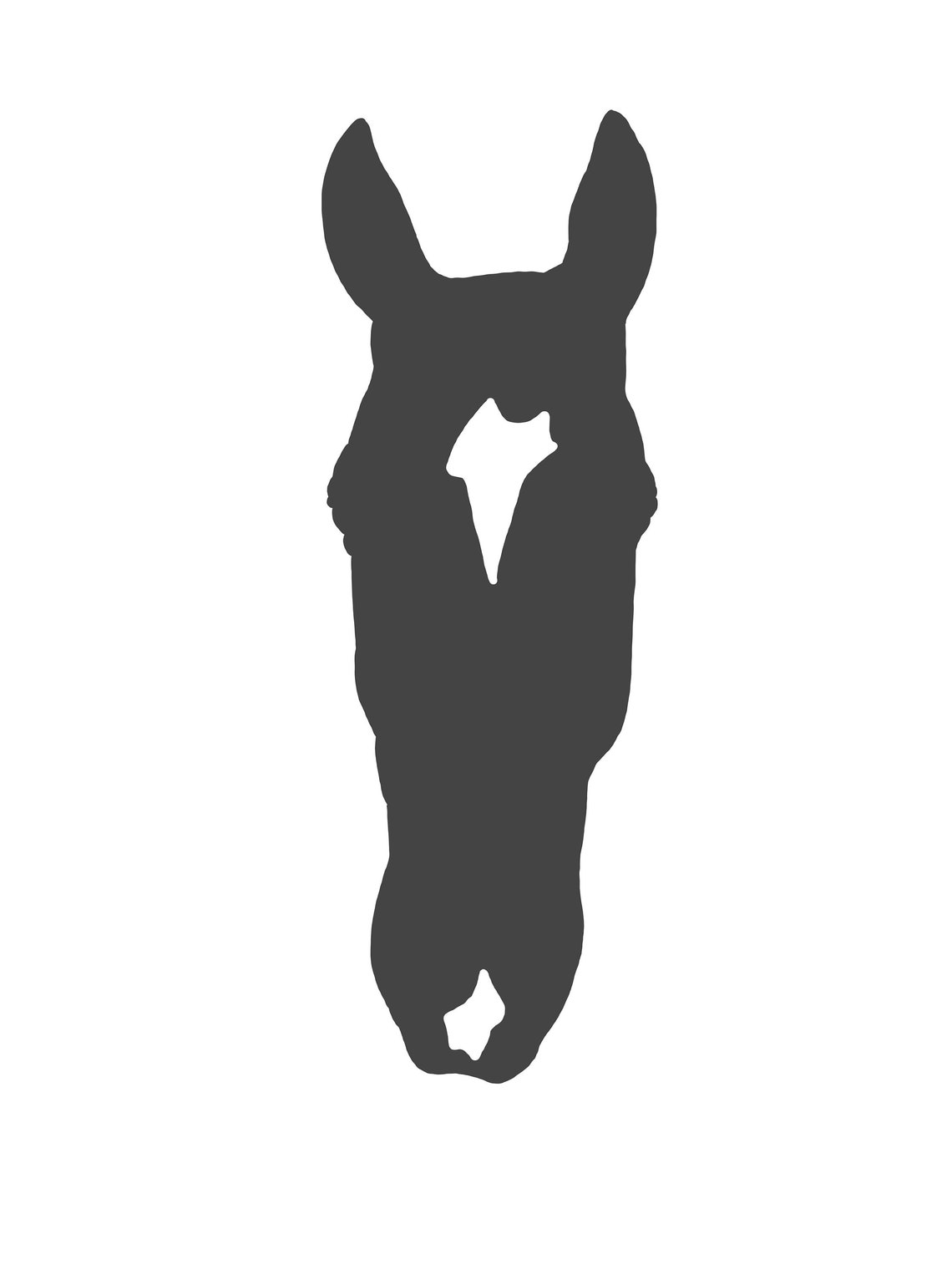 Custom Horse Face Canvas Etsy