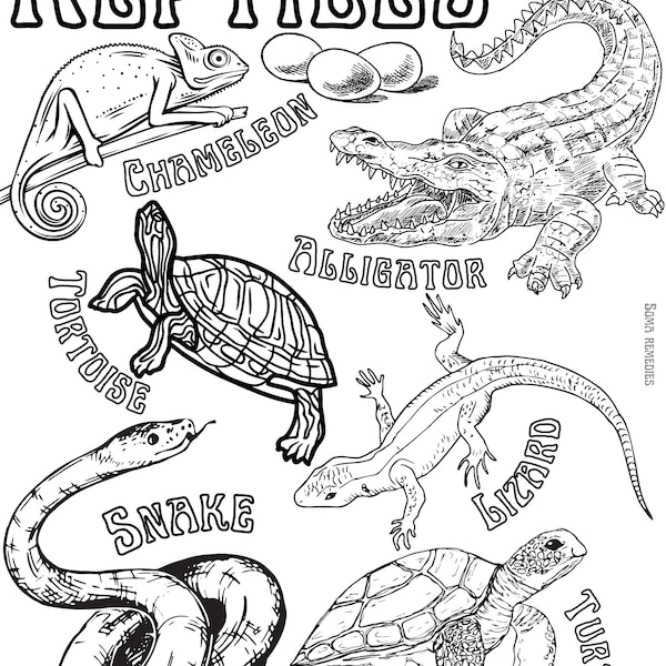 Reptiles Coloring Page, Animal Coloring Page, Science Activities