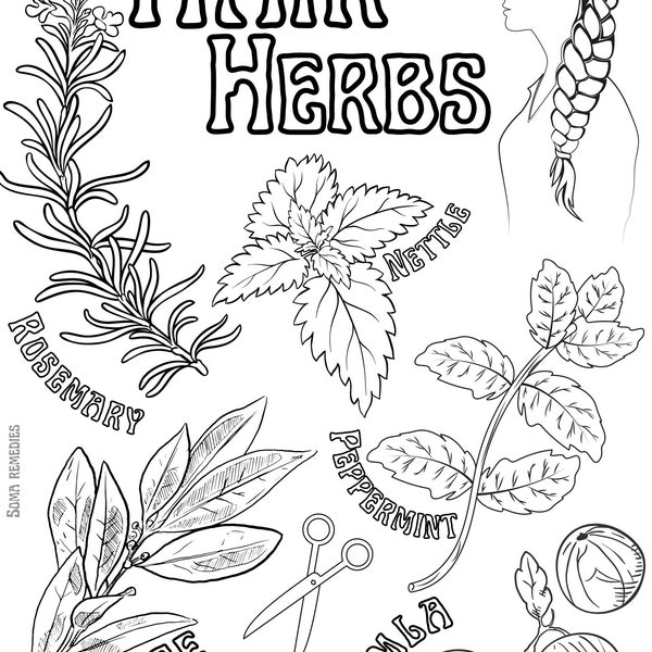 Hair Herbs Coloring Page (Herbalism & Nature Coloring Pages)