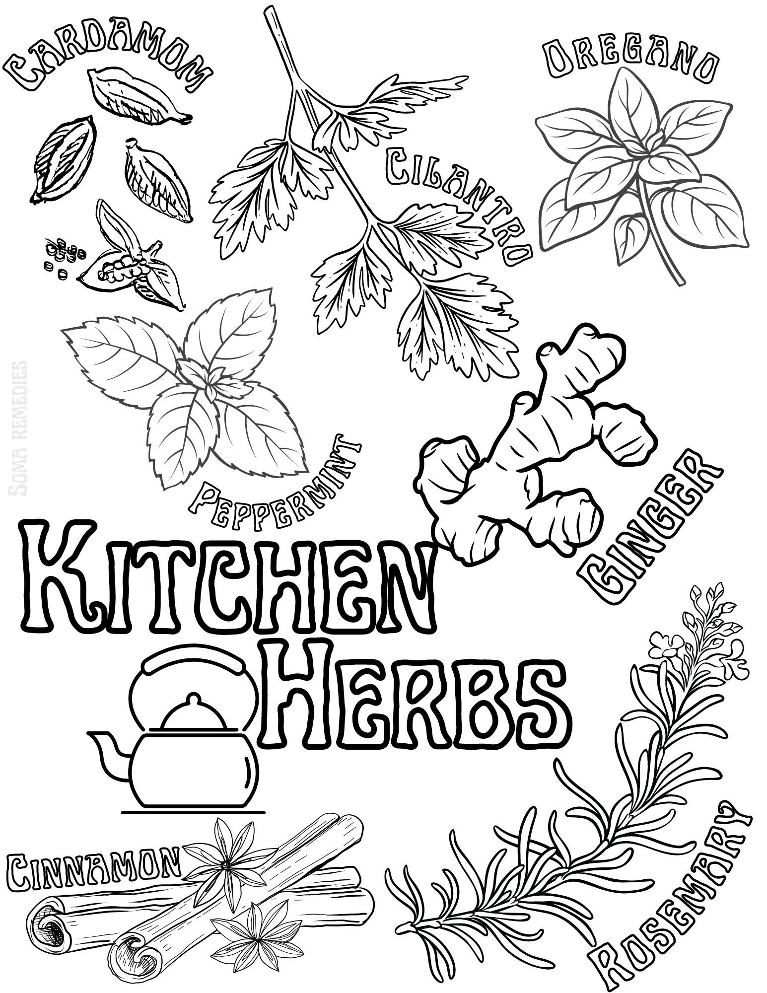 Herb Coloring Pages 2025 