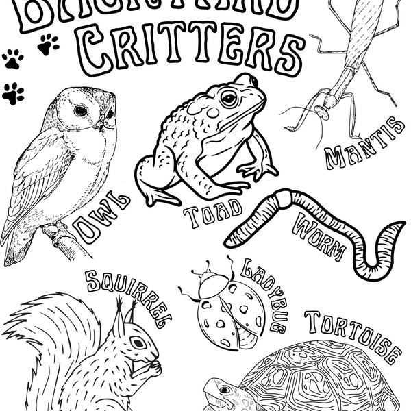 Backyard Critters Coloring Page, Herbalism & Plant Coloring Page, Homeschooling, Nature Coloring Page, Animal and Bug Coloring Page