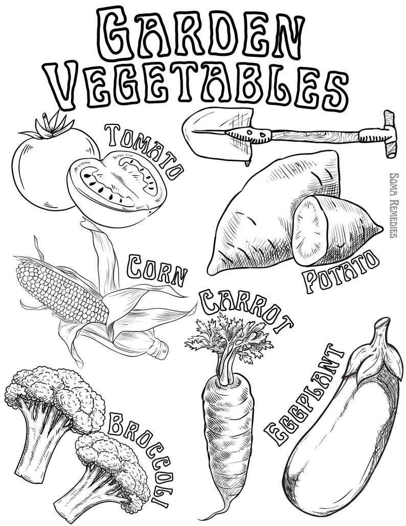 Garden Vegetables Coloring Page, Plant and Nature Coloring Page, Homeschooling, Herbalism for ...