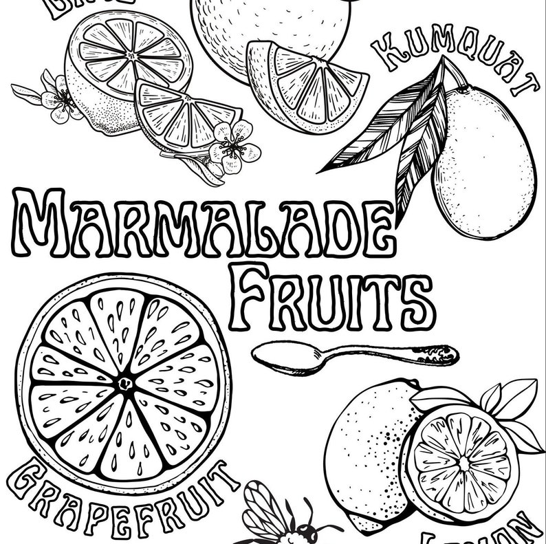 Marmalade Fruits Coloring Page Fruit Coloring Pages Jam & Etsy