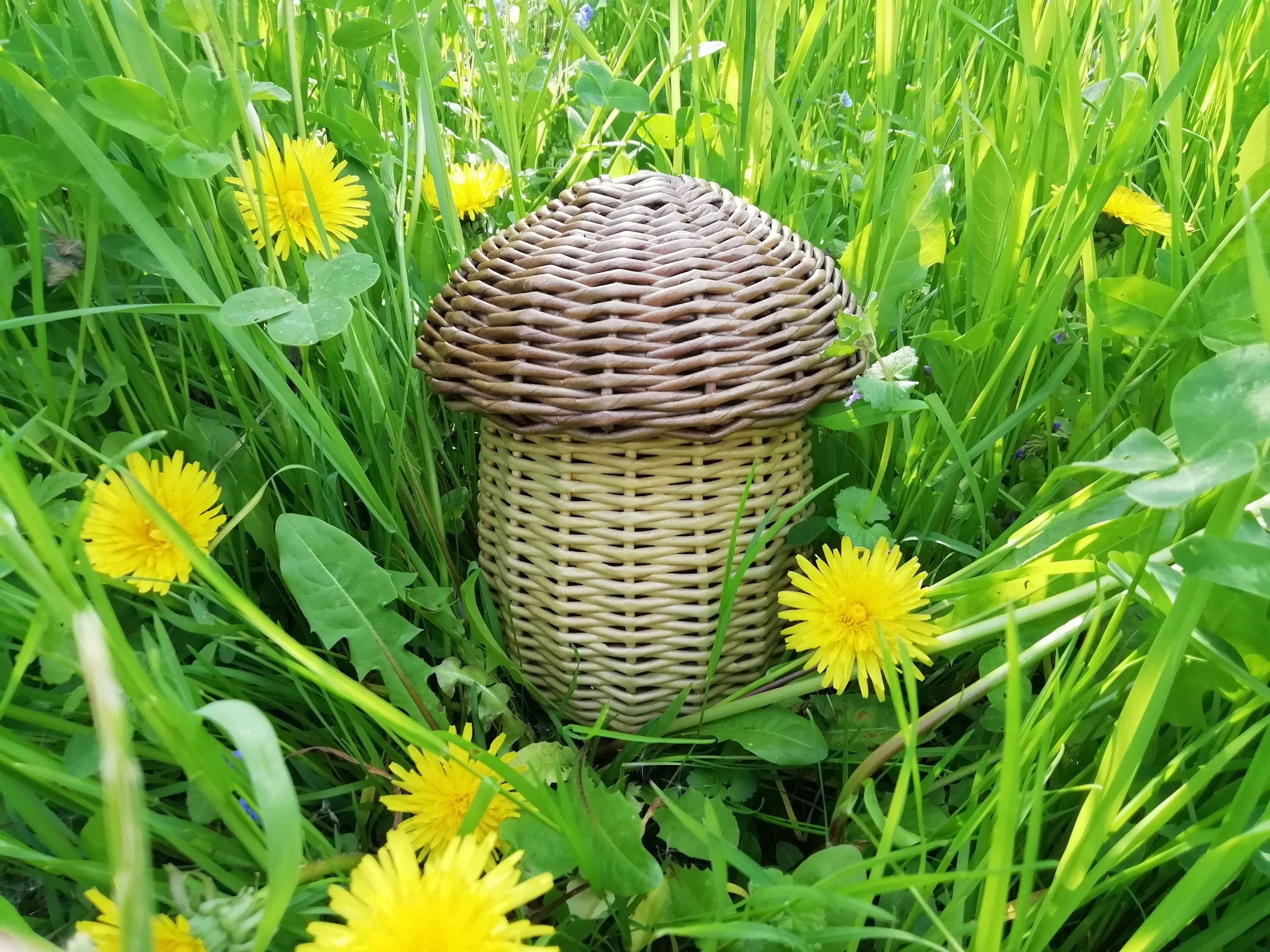 MUSHROOM wicker baskets with lid food storage basket nursery Etsy