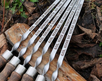 Juego de 6 brochetas para barbacoa de kebab, de acero inoxidable resistente, ideal como regalo para asadores al aire libre.