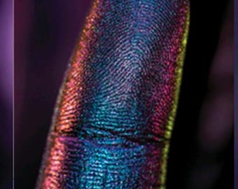 Fusion - Loose Pigment
