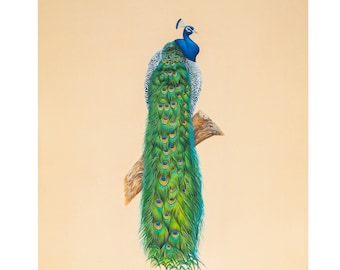 Obra de arte de pavo real pintada a mano, decoración de pared de arte folclórico indio, pintura botánica de la naturaleza.