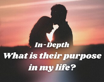 What is their purpose in my life? Detailed Relationship/Friendship Tarot Love Reading