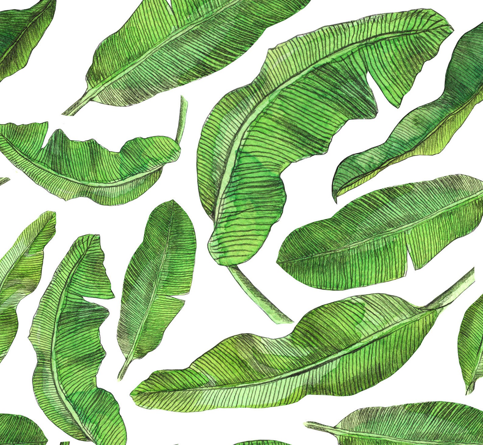 Hawaiian Print. 5 Seamless Patterns. Digital Paper | Etsy