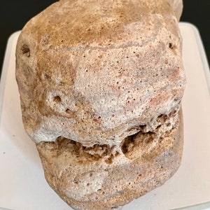 Puede incluir: Una roca desgastada de color beige con una superficie rugosa y texturizada. La roca tiene una apariencia en capas con pequeños agujeros y una forma natural y orgánica. Se encuentra sobre una superficie blanca.