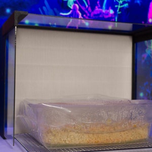May include: A clear plastic bag containing a square-shaped food item, possibly a casserole, on a wire rack. The food is a light orange color and is sitting in front of a black frame with a white background.