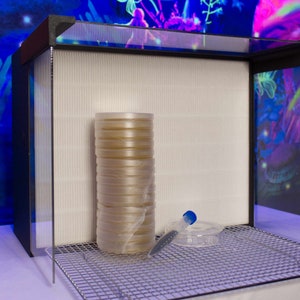 May include: A stack of clear petri dishes inside a clear plastic box with a black frame. The box is on a white surface with a wire rack.