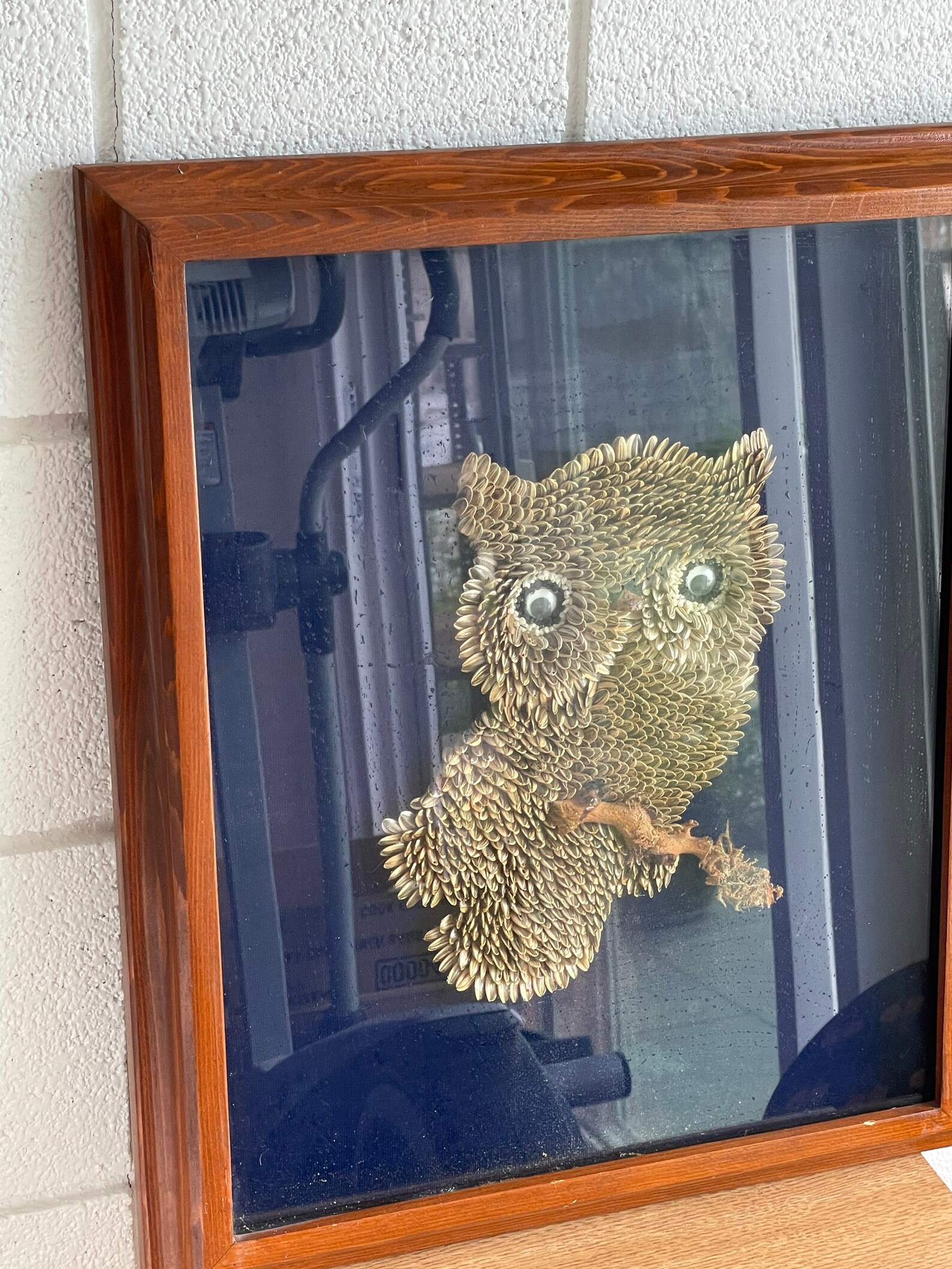 Vintage Sunflower Seed Owl On Branch Collage Art Etsy