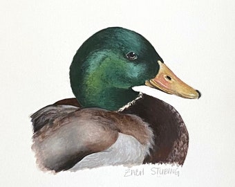 Mallard Duck Original Gouache Painting - Bird Illustration