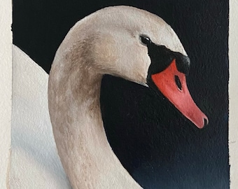 Peinture à l'huile originale de cygne tuberculé - Illustration d'oiseau