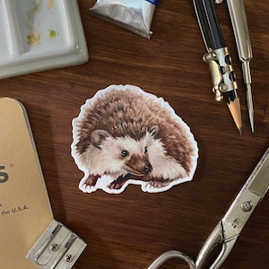 Sticker hérisson - Sticker en vinyle pour bouteille d'eau, ordinateur portable ou agenda - Illustration d'un animal de compagnie - Mat, résistant aux intempéries, lavable au lave-vaisselle