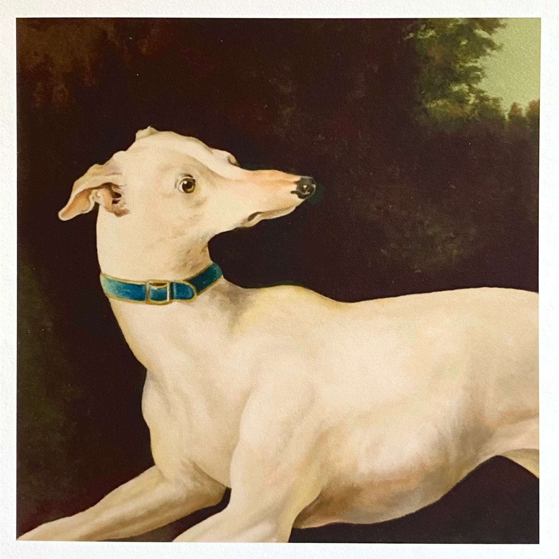 Philip Reinagle - Portrait du XVIIIe siècle représentant deux lévriers dans un vaste paysage En