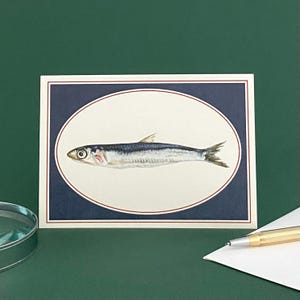 Cartão de felicitações em branco com ilustração de anchova - Papelaria de peixe, Nota de agradecimento, Cartão de dia dos pais - Arte de pintura a guache