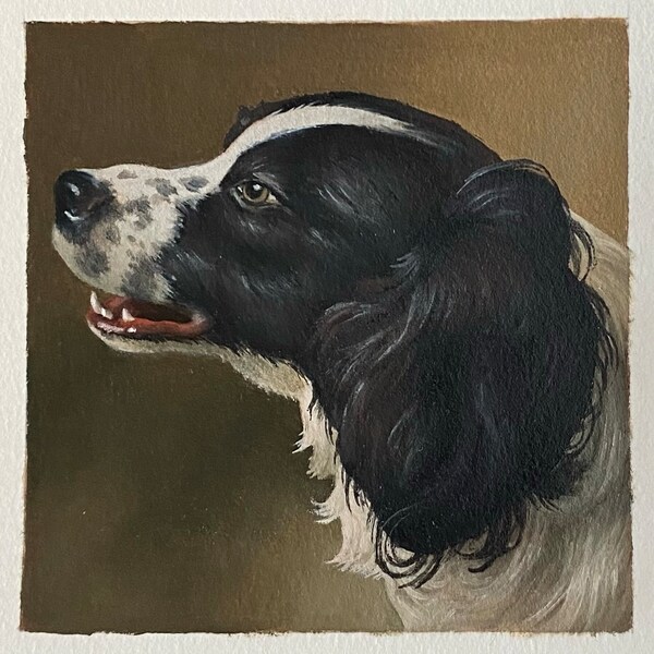 Springer Spaniel Original Oil Painting - Dog Illustration - Jan Weenix Study