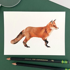 Stampa giclée di volpe rossa - Pittura a guazzo Animale da appendere alla parete - Decorazione artistica per la casa
