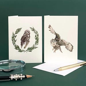 Tarjetas de felicitación en blanco con forma de búho, juego de 2: nota de agradecimiento con ilustración de pájaro en acuarela