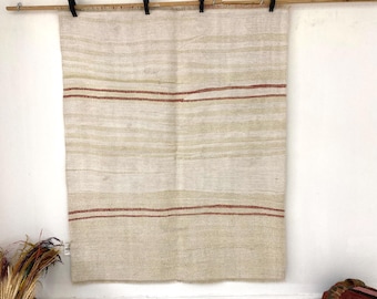 Handwoven 4x5 Jute Rug with Minimalist Tribal Embroidery, (4'1x5'1 ft)