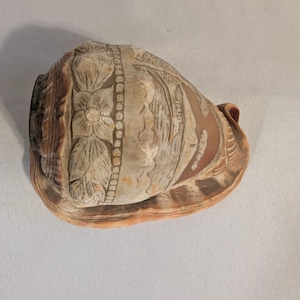 May include: A carved seashell with intricate floral and geometric patterns. The shell features a light beige color with brown and orange accents. The carvings include detailed flower and leaf designs, creating a decorative nautical item.