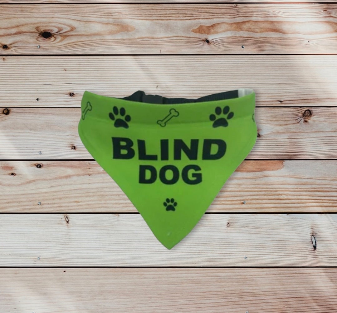 Pet Bandana BLIND DOG With Collar Custom Printing 4 Sizes Etsy