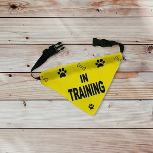 Pet bandana IN TRAINING with collar,  custom printing,  4 sizes, great for training