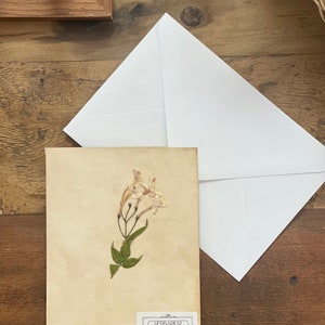 Botanical Cards Hand Pressed Eco-Friendly Unique Gift Sustainable Art Prints Handmade Nature-Inspired Greeting Cards for Any Occasion