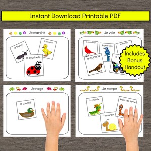 French Spring Vocabulary Sorting Activity Science Activité Printemps Français Teaching Printable Kindergarten Preschool Primary Homeschool