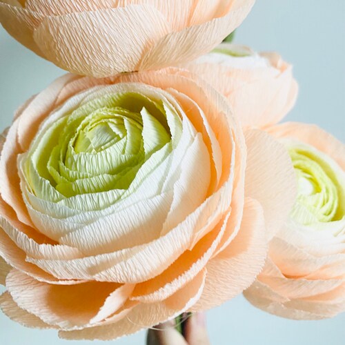Ranunculus Crepe Paper Flower Ranunculus Bouquet Ranunculus Etsy
